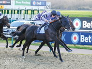 Diderot winning at Lingfield - 7 April 2023