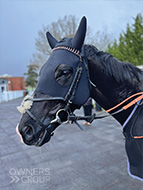 Diderot at Lingfield - 03 March 2024