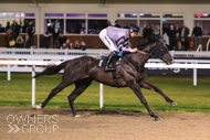 Diderot winning at Chelmsford - 15 January 2022