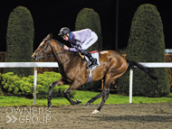 Covert Mission winning at Kempton - 5 January 2022