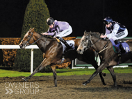 Covert Mission winning at Kempton - 16 February 2022