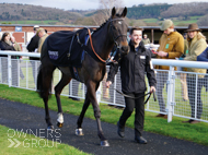 Ile de Jersey at Ludlow - 9 February 2022