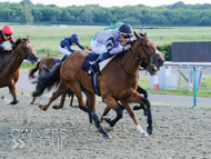 Alpine Girl winning at Lingfield - 6 June 2023