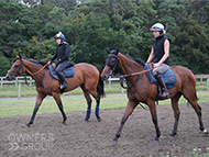 Alpine Girl (far side) - 11 August 2023