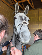 Inca De Lafayette at Taunton - 20 February 2024