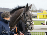 Inca De Lafayette at Taunton - 22 February 2022