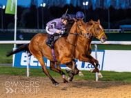 Yeoman on the way to victory at Wolverhampton - 25 April 2023