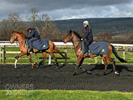 Dutch Decoy and Zachary (right) - 12 February 2024