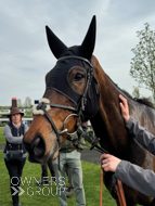 Bond Broker at Fakenham - 12 April 2024