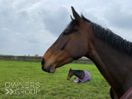 Bond Broker (front) and Gaulois - 22 April 2023