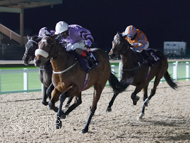 Brummell winning at Southwell - 24 November 2023