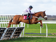 Grand Albert winning at Bangor - 23 March 2024