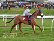 Grand Albert at Bangor - 15 December 2023