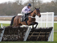 Camarrate at Warwick -22 January 2024