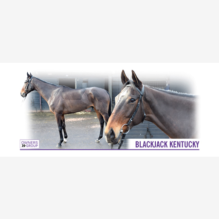 Blackjack Kentucky Mug - A