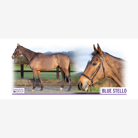 Blue Stello Mug - A