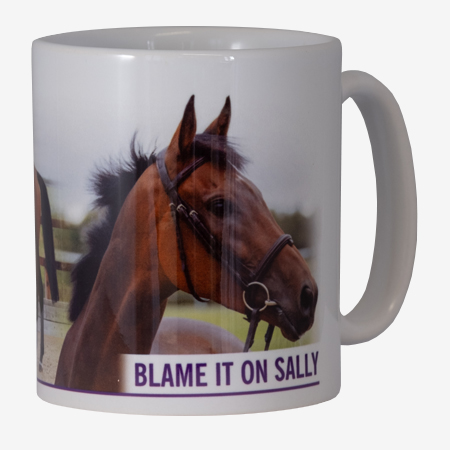 Blame It On Sally Mug - A