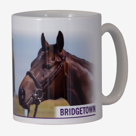 Bridgetown Mug - A