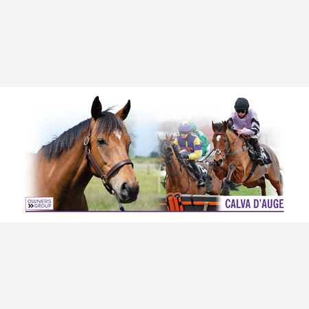 Calva D'Auge Mug - B