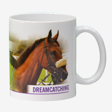 Dreamcatching Mug - A
