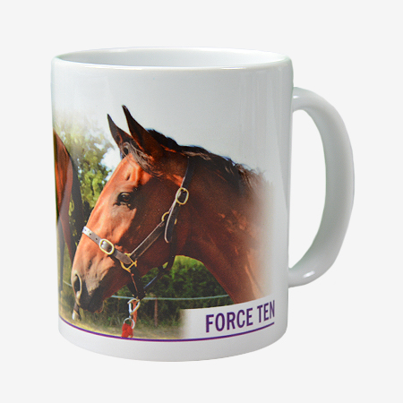 Force Ten Mug - A