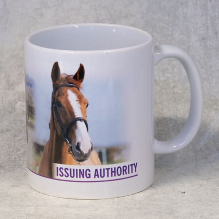 Issuing Authority Mug - A