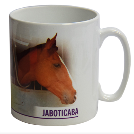 Jaboticaba Mug - A