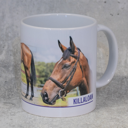 Killaloan Mug - A