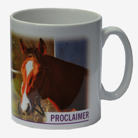 Proclaimer Mug - A