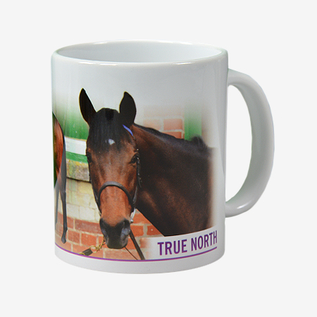 True North Mug - A