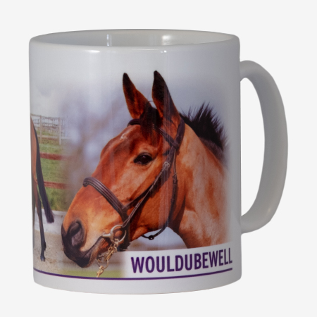 Wouldubewell Mug - A